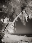 Tropical Beach, Key West #YNS-345.  Infrared Photograph,  Stretched and Gallery Wrapped, Limited Edition Archival Print on Canvas:  40 x 56 inches, $1590.  Custom Proportions and Sizes are Available.  For more information or to order please visit our ABOUT page or call us at 561-691-1110.