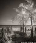 Tropical Beach, Key West #YNS-347.  Infrared Photograph,  Stretched and Gallery Wrapped, Limited Edition Archival Print on Canvas:  40 x 50 inches, $1560.  Custom Proportions and Sizes are Available.  For more information or to order please visit our ABOUT page or call us at 561-691-1110.