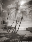 Tropical Beach, Key West #YNS-349.  Infrared Photograph,  Stretched and Gallery Wrapped, Limited Edition Archival Print on Canvas:  40 x 56 inches, $1590.  Custom Proportions and Sizes are Available.  For more information or to order please visit our ABOUT page or call us at 561-691-1110.