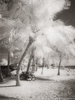 Tropical Beach, Key West #YNS-350.  Infrared Photograph,  Stretched and Gallery Wrapped, Limited Edition Archival Print on Canvas:  40 x 56 inches, $1590.  Custom Proportions and Sizes are Available.  For more information or to order please visit our ABOUT page or call us at 561-691-1110.