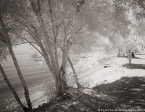 Beach , Limassol Cyprus #YNS-083.  Infrared Photograph,  Stretched and Gallery Wrapped, Limited Edition Archival Print on Canvas:  50 x 40 inches, $1560.  Custom Proportions and Sizes are Available.  For more information or to order please visit our ABOUT page or call us at 561-691-1110.