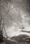 Beach , Limassol Cyprus #YNS-084.  Infrared Photograph,  Stretched and Gallery Wrapped, Limited Edition Archival Print on Canvas:  40 x 60 inches, $1590.  Custom Proportions and Sizes are Available.  For more information or to order please visit our ABOUT page or call us at 561-691-1110.