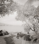 Tropical Beach, Tahiti  #YNS-099.  Infrared Photograph,  Stretched and Gallery Wrapped, Limited Edition Archival Print on Canvas:  40 x 44 inches, $1530.  Custom Proportions and Sizes are Available.  For more information or to order please visit our ABOUT page or call us at 561-691-1110.