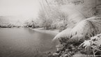 Tropical Beach, Tahiti  #YNS-110.  Infrared Photograph,  Stretched and Gallery Wrapped, Limited Edition Archival Print on Canvas:  72 x 40 inches, $1620.  Custom Proportions and Sizes are Available.  For more information or to order please visit our ABOUT page or call us at 561-691-1110.