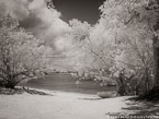 Tropical Beach, Saint Thomas #YNS-130.  Infrared Photograph,  Stretched and Gallery Wrapped, Limited Edition Archival Print on Canvas:  56 x 40 inches, $1590.  Custom Proportions and Sizes are Available.  For more information or to order please visit our ABOUT page or call us at 561-691-1110.