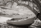 Tropical Beach, Saint Thomas #YNS-136.  Infrared Photograph,  Stretched and Gallery Wrapped, Limited Edition Archival Print on Canvas:  60 x 40 inches, $1590.  Custom Proportions and Sizes are Available.  For more information or to order please visit our ABOUT page or call us at 561-691-1110.