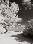 Tropical Beach, Jupiter  #YNS-215.  Infrared Photograph,  Stretched and Gallery Wrapped, Limited Edition Archival Print on Canvas:  40 x 56 inches, $1590.  Custom Proportions and Sizes are Available.  For more information or to order please visit our ABOUT page or call us at 561-691-1110.