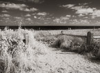 Beach , Jupiter  #YNS-216.  Infrared Photograph,  Stretched and Gallery Wrapped, Limited Edition Archival Print on Canvas:  56 x 40 inches, $1590.  Custom Proportions and Sizes are Available.  For more information or to order please visit our ABOUT page or call us at 561-691-1110.