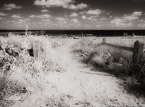 Beach , Jupiter  #YNS-217.  Infrared Photograph,  Stretched and Gallery Wrapped, Limited Edition Archival Print on Canvas:  56 x 40 inches, $1590.  Custom Proportions and Sizes are Available.  For more information or to order please visit our ABOUT page or call us at 561-691-1110.