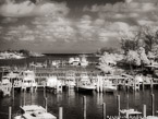 Marina , Jupiter  #YNS-245.  Infrared Photograph,  Stretched and Gallery Wrapped, Limited Edition Archival Print on Canvas:  56 x 40 inches, $1590.  Custom Proportions and Sizes are Available.  For more information or to order please visit our ABOUT page or call us at 561-691-1110.