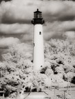 Lighthouse , Jupiter  #YNS-247.  Infrared Photograph,  Stretched and Gallery Wrapped, Limited Edition Archival Print on Canvas:  40 x 56 inches, $1590.  Custom Proportions and Sizes are Available.  For more information or to order please visit our ABOUT page or call us at 561-691-1110.