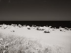 Tropical Beach, Jupiter  #YNS-255.  Infrared Photograph,  Stretched and Gallery Wrapped, Limited Edition Archival Print on Canvas:  56 x 40 inches, $1590.  Custom Proportions and Sizes are Available.  For more information or to order please visit our ABOUT page or call us at 561-691-1110.