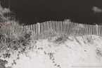 Beach , Jupiter  #YNS-263.  Black-White Photograph,  Stretched and Gallery Wrapped, Limited Edition Archival Print on Canvas:  60 x 40 inches, $1590.  Custom Proportions and Sizes are Available.  For more information or to order please visit our ABOUT page or call us at 561-691-1110.