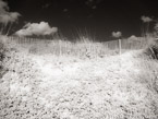 Beach , Jupiter  #YNS-268.  Infrared Photograph,  Stretched and Gallery Wrapped, Limited Edition Archival Print on Canvas:  56 x 40 inches, $1590.  Custom Proportions and Sizes are Available.  For more information or to order please visit our ABOUT page or call us at 561-691-1110.