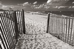 Beach , Jupiter  #YNS-275.  Black-White Photograph,  Stretched and Gallery Wrapped, Limited Edition Archival Print on Canvas:  60 x 40 inches, $1590.  Custom Proportions and Sizes are Available.  For more information or to order please visit our ABOUT page or call us at 561-691-1110.