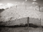 Beach , Jupiter  #YNS-278.  Infrared Photograph,  Stretched and Gallery Wrapped, Limited Edition Archival Print on Canvas:  56 x 40 inches, $1590.  Custom Proportions and Sizes are Available.  For more information or to order please visit our ABOUT page or call us at 561-691-1110.