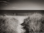 Tropical Beach, Florida Keys #YNS-293.  Infrared Photograph,  Stretched and Gallery Wrapped, Limited Edition Archival Print on Canvas:  56 x 40 inches, $1590.  Custom Proportions and Sizes are Available.  For more information or to order please visit our ABOUT page or call us at 561-691-1110.