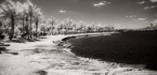 Tropical Beach, Jupiter  #YNS-020.  Infrared Photograph,  Stretched and Gallery Wrapped, Limited Edition Archival Print on Canvas:  72 x 36 inches, $1620.  Custom Proportions and Sizes are Available.  For more information or to order please visit our ABOUT page or call us at 561-691-1110.