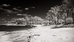 Tropical Beach, Jupiter  #YNS-022.  Infrared Photograph,  Stretched and Gallery Wrapped, Limited Edition Archival Print on Canvas:  72 x 40 inches, $1620.  Custom Proportions and Sizes are Available.  For more information or to order please visit our ABOUT page or call us at 561-691-1110.