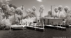 Tropical Beach, Jupiter  #YNS-026.  Infrared Photograph,  Stretched and Gallery Wrapped, Limited Edition Archival Print on Canvas:  72 x 40 inches, $1620.  Custom Proportions and Sizes are Available.  For more information or to order please visit our ABOUT page or call us at 561-691-1110.
