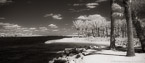 Tropical Beach, Jupiter  #YNS-028.  Infrared Photograph,  Stretched and Gallery Wrapped, Limited Edition Archival Print on Canvas:  68 x 30 inches, $1560.  Custom Proportions and Sizes are Available.  For more information or to order please visit our ABOUT page or call us at 561-691-1110.
