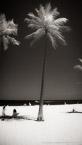 Tropical Beach, Fort Lauderdale #YNS-032.  Infrared Photograph,  Stretched and Gallery Wrapped, Limited Edition Archival Print on Canvas:  40 x 72 inches, $1620.  Custom Proportions and Sizes are Available.  For more information or to order please visit our ABOUT page or call us at 561-691-1110.