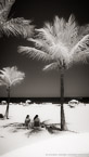 Tropical Beach, Fort Lauderdale #YNS-039.  Infrared Photograph,  Stretched and Gallery Wrapped, Limited Edition Archival Print on Canvas:  40 x 72 inches, $1620.  Custom Proportions and Sizes are Available.  For more information or to order please visit our ABOUT page or call us at 561-691-1110.