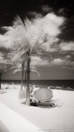 Tropical Beach, Fort Lauderdale #YNS-052.  Infrared Photograph,  Stretched and Gallery Wrapped, Limited Edition Archival Print on Canvas:  72 x 40 inches, $1620.  Custom Proportions and Sizes are Available.  For more information or to order please visit our ABOUT page or call us at 561-691-1110.