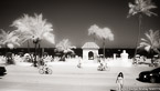 Tropical Beach, Fort Lauderdale #YNS-058.  Infrared Photograph,  Stretched and Gallery Wrapped, Limited Edition Archival Print on Canvas:  72 x 40 inches, $1620.  Custom Proportions and Sizes are Available.  For more information or to order please visit our ABOUT page or call us at 561-691-1110.