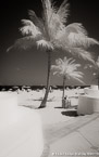 Tropical Beach, Fort Lauderdale #YNS-062.  Infrared Photograph,  Stretched and Gallery Wrapped, Limited Edition Archival Print on Canvas:  40 x 60 inches, $1590.  Custom Proportions and Sizes are Available.  For more information or to order please visit our ABOUT page or call us at 561-691-1110.