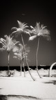 Tropical Beach, Fort Lauderdale #YNS-071.  Infrared Photograph,  Stretched and Gallery Wrapped, Limited Edition Archival Print on Canvas:  40 x 72 inches, $1620.  Custom Proportions and Sizes are Available.  For more information or to order please visit our ABOUT page or call us at 561-691-1110.