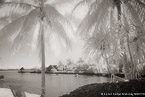 Tropical Beach, Tahiti  #YNS-090.  Infrared Photograph,  Stretched and Gallery Wrapped, Limited Edition Archival Print on Canvas:  60 x 40 inches, $1590.  Custom Proportions and Sizes are Available.  For more information or to order please visit our ABOUT page or call us at 561-691-1110.