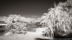 Tropical Beach, Tahiti  #YNS-091.  Infrared Photograph,  Stretched and Gallery Wrapped, Limited Edition Archival Print on Canvas:  72 x 40 inches, $1620.  Custom Proportions and Sizes are Available.  For more information or to order please visit our ABOUT page or call us at 561-691-1110.