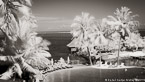 Tropical Beach, Tahiti  #YNS-092.  Infrared Photograph,  Stretched and Gallery Wrapped, Limited Edition Archival Print on Canvas:  72 x 40 inches, $1620.  Custom Proportions and Sizes are Available.  For more information or to order please visit our ABOUT page or call us at 561-691-1110.