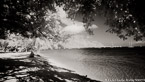 Tropical Beach, Tahiti  #YNS-103.  Infrared Photograph,  Stretched and Gallery Wrapped, Limited Edition Archival Print on Canvas:  72 x 40 inches, $1620.  Custom Proportions and Sizes are Available.  For more information or to order please visit our ABOUT page or call us at 561-691-1110.