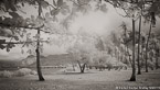 Tropical Beach, Tahiti  #YNS-105.  Infrared Photograph,  Stretched and Gallery Wrapped, Limited Edition Archival Print on Canvas:  72 x 40 inches, $1620.  Custom Proportions and Sizes are Available.  For more information or to order please visit our ABOUT page or call us at 561-691-1110.