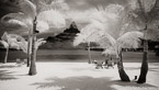 Tropical Beach, Bora Bora #YNS-120.  Infrared Photograph,  Stretched and Gallery Wrapped, Limited Edition Archival Print on Canvas:  72 x 40 inches, $1620.  Custom Proportions and Sizes are Available.  For more information or to order please visit our ABOUT page or call us at 561-691-1110.
