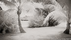 Tropical Beach, Bora Bora #YNS-127.  Infrared Photograph,  Stretched and Gallery Wrapped, Limited Edition Archival Print on Canvas:  72 x 40 inches, $1620.  Custom Proportions and Sizes are Available.  For more information or to order please visit our ABOUT page or call us at 561-691-1110.