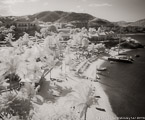 Tropical Beach, Saint Thomas #YNS-137.  Infrared Photograph,  Stretched and Gallery Wrapped, Limited Edition Archival Print on Canvas:  48 x 40 inches, $1560.  Custom Proportions and Sizes are Available.  For more information or to order please visit our ABOUT page or call us at 561-691-1110.