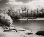 Tropical Beach, Jupiter  #YNS-237.  Infrared Photograph,  Stretched and Gallery Wrapped, Limited Edition Archival Print on Canvas:  50 x 40 inches, $1560.  Custom Proportions and Sizes are Available.  For more information or to order please visit our ABOUT page or call us at 561-691-1110.