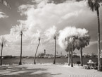 Beach , Jupiter  #YNS-257.  Infrared Photograph,  Stretched and Gallery Wrapped, Limited Edition Archival Print on Canvas:  56 x 40 inches, $1590.  Custom Proportions and Sizes are Available.  For more information or to order please visit our ABOUT page or call us at 561-691-1110.