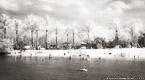 Tropical Beach, Jupiter  #YNS-258.  Infrared Photograph,  Stretched and Gallery Wrapped, Limited Edition Archival Print on Canvas:  72 x 40 inches, $1620.  Custom Proportions and Sizes are Available.  For more information or to order please visit our ABOUT page or call us at 561-691-1110.