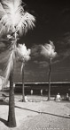 Tropical Beach, Florida Keys #YNS-283.  Infrared Photograph,  Stretched and Gallery Wrapped, Limited Edition Archival Print on Canvas:  36 x 68 inches, $1620.  Custom Proportions and Sizes are Available.  For more information or to order please visit our ABOUT page or call us at 561-691-1110.