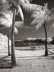 Tropical Beach, Florida Keys #YNS-285.  Infrared Photograph,  Stretched and Gallery Wrapped, Limited Edition Archival Print on Canvas:  40 x 56 inches, $1590.  Custom Proportions and Sizes are Available.  For more information or to order please visit our ABOUT page or call us at 561-691-1110.