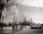 Tropical Beach, Florida Keys #YNS-286.  Infrared Photograph,  Stretched and Gallery Wrapped, Limited Edition Archival Print on Canvas:  50 x 40 inches, $1560.  Custom Proportions and Sizes are Available.  For more information or to order please visit our ABOUT page or call us at 561-691-1110.