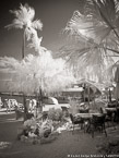Tropical Beach, Florida Keys #YNS-287.  Infrared Photograph,  Stretched and Gallery Wrapped, Limited Edition Archival Print on Canvas:  40 x 56 inches, $1590.  Custom Proportions and Sizes are Available.  For more information or to order please visit our ABOUT page or call us at 561-691-1110.