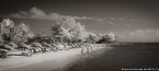Tropical Beach, Key West #YNS-351.  Infrared Photograph,  Stretched and Gallery Wrapped, Limited Edition Archival Print on Canvas:  68 x 30 inches, $1560.  Custom Proportions and Sizes are Available.  For more information or to order please visit our ABOUT page or call us at 561-691-1110.