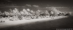 Tropical Beach, Key West #YNS-352.  Infrared Photograph,  Stretched and Gallery Wrapped, Limited Edition Archival Print on Canvas:  72 x 30 inches, $1560.  Custom Proportions and Sizes are Available.  For more information or to order please visit our ABOUT page or call us at 561-691-1110.