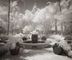 Tropical Garden, Palm Beach #YNG-381.  Infrared Photograph,  Stretched and Gallery Wrapped, Limited Edition Archival Print on Canvas:  48 x 40 inches, $1560.  Custom Proportions and Sizes are Available.  For more information or to order please visit our ABOUT page or call us at 561-691-1110.