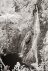 Waterfall , Costa Rica #YNG-399.  Infrared Photograph,  Stretched and Gallery Wrapped, Limited Edition Archival Print on Canvas:  40 x 60 inches, $1590.  Custom Proportions and Sizes are Available.  For more information or to order please visit our ABOUT page or call us at 561-691-1110.